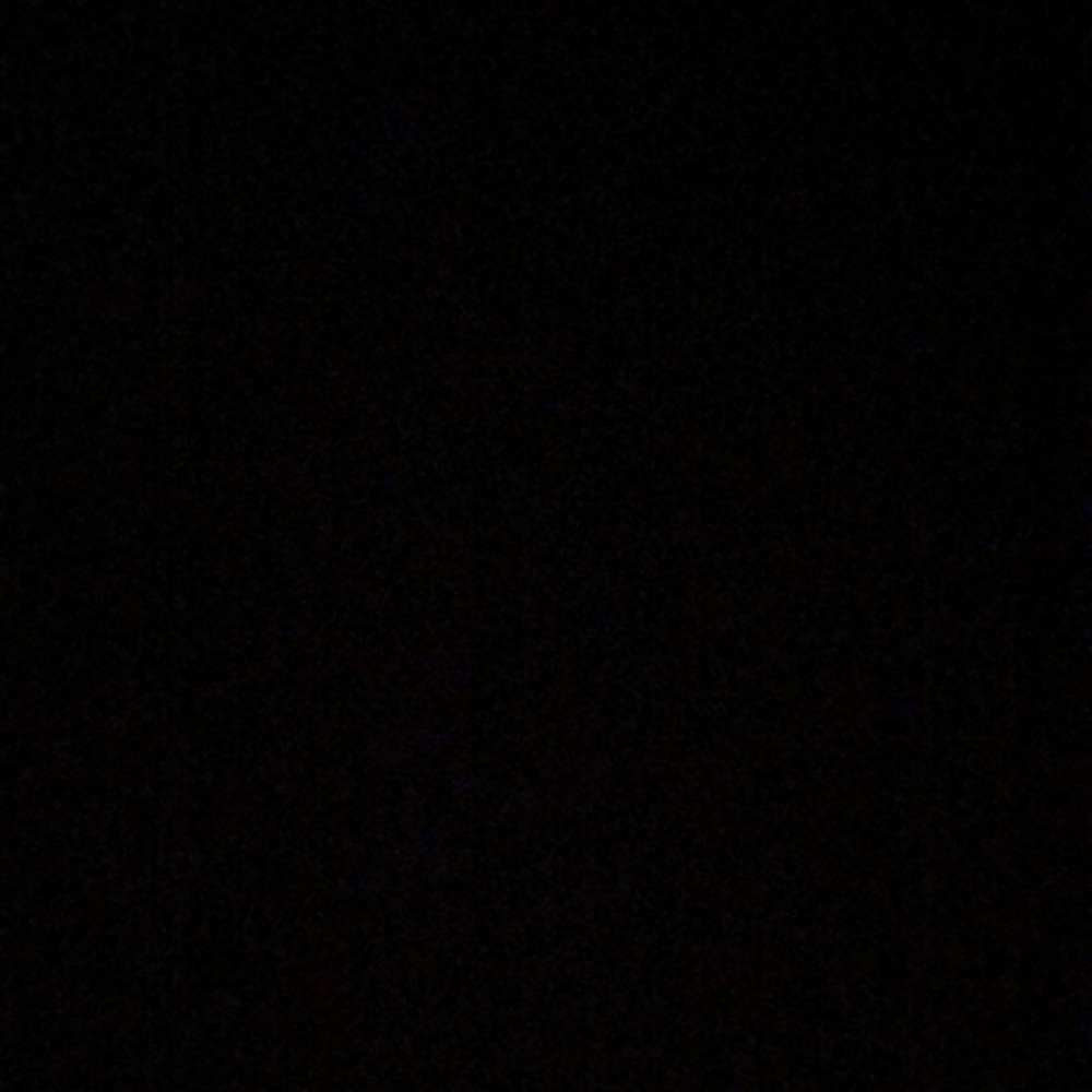 Meet your Posher, Annie